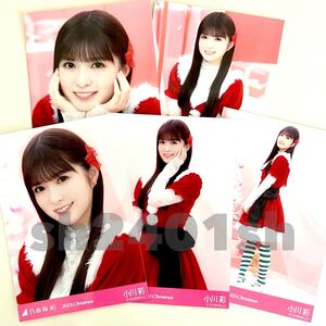 《乃木坂46》公式グッズ 生写真 小川彩 5枚コンプ　5種コンプ 2023 Christmas クリスマス サンタ (2024 座り 座りヨリ