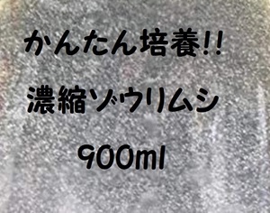 ★【送料無料!!】★濃縮ゾウリムシ種水900ｍｌ★メダカ・グッピー針子・稚魚の生餌!!★生存率アップ!!※培養方法説明書付き!!