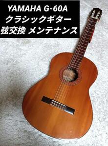 ｇ60YAMAHA G-60A ガットギター クラシックギター 弦交換 メンテナンス　ヤマハ　G-60　アコギ　アコースティック　ギター