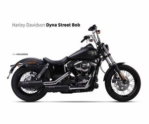 IRONHEAD HARLEY-DAVIDSON DYNA(ダイナ) STREET BOB(ストリートボブ) HC1-3B 2本出 スリップオン マフラー ブラック【送料800円】