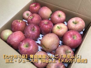 【わけあり品】青森県産りんご「早生ふじ」加工・ジュース用 10kg以上【数量限定】