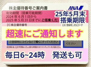 いつも超速5分 番号通知です 発送応相談 ANA 全日空 株主優待券 搭乗期限25年5月末 1枚 2枚 3枚 4枚 5〜9枚 国内便 割引(22a