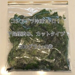 ☆即決！☆冷凍こしあぶら☆１キロ！☆数量限定！☆２００グラム×５袋☆山菜の女王☆信州産♪☆コシアブラ☆