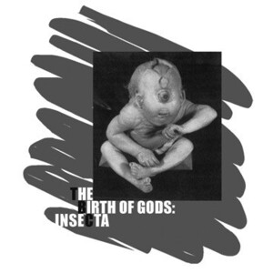 TBC/Insecta: The Birth Of Gods,CD,USED,Experimental, Field Recording, Musique Concrte, Noise,2012,ノイズ