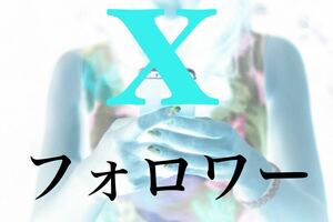 【最高品質【X Twitter フォロワー1万人】♪おまけ♪便利なSNS増加ツール！ SNS YouTube TikTok X Twitter フォロワーコンテンツ作成