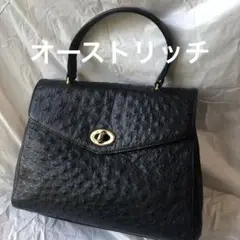 オーストリッチ　フルポイント　ハンドバック