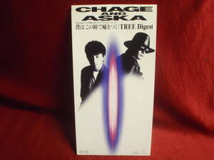 CHAGE&ASKA★僕はこの瞳で嘘をつく（8cmCDS）＃