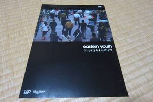 イースタン・ユース eastern youth dvd 発売 告知 チラシ