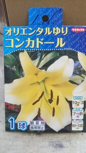 オリエンタル ゆり コンカドール １袋 球根 サカタのタネ 郵便は送料無料 スカシ ユリ