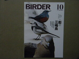 ◎BIRDER バーダー 2023/10●街の三鳴鳥～イソヒヨドリ/ハクセキレイ/キジバト●ジャマイカの鳥/他●小鳥/バードウォッチング/野鳥/猛禽類