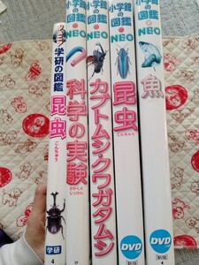 5冊セット 小学館の図鑑neo　学研の図鑑 DVDあり