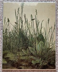 絵　デューラー　芝　grasses MET メトロポリタン美術館　ボタニカルアート Albrecht Durer アルブレヒト・デューラー　レプリカ　複製画