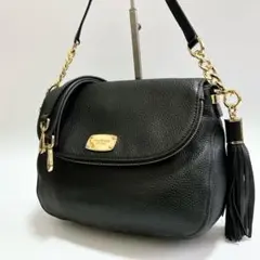 美品 MICHAEL KORS レザー チェーン ショルダーバッグ c215