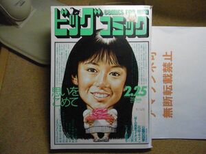 ビッグコミック 1987/2/25 S62　公園の四季-近藤ようこ/ぼくの西鉄ライオンズ/カムイ外伝/ゴルゴ13/表紙絵-後藤久美子　＜無断転載禁止＞