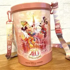 ディズニーランド　40周年　ポップコーンバケット　ケース