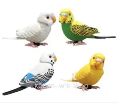 全４種 コンプリート インコ 可動 ＆ マグネット ガチャ フィギュア Ｂ