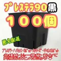 【スリット鉢】プレステラ90黒100個 多肉植物 プラ鉢