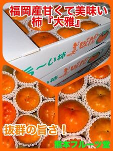 【お勧め特大3L】味は絶品！大変甘いです！常温即発送！福岡産柿【優品10玉前後約3k箱込 熊本フルーツ堂84