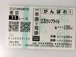 ウンブライル 11/23 キャピタルステークス 現地 応援馬券 がんばれ馬券 東京競馬場 JRA