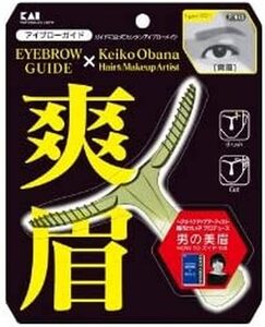 貝印 メンズ アイブローガイド 爽眉 1個 (x 1)