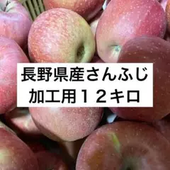 長野県さんふじ　加工用 １２キロ