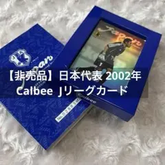 【非売品】サッカー 日本代表 2002年 カルビーJリーグカード