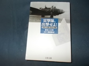 雷撃隊出撃せよ！　海軍中攻隊の栄光と悲劇