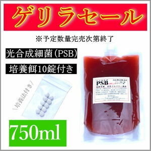 培養酵母10錠付！PSB(光合成細菌) 750ml入り