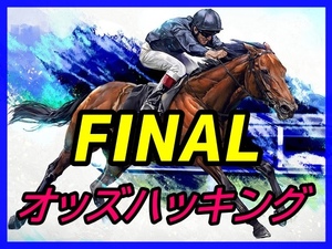 投資競馬が今解き明かされる！ FANALオッズハッキング 的中率７０％を叩き出す！役立つ付録付！ オリジナルソフト 副業 サポート 初心者