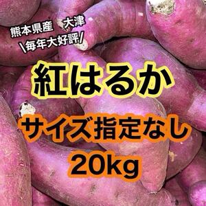 特売◎熊本県産　大津　べにはるか　紅はるか　サイズ指定無し　20kg(送料無料)