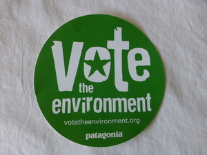 patagonia vote the environment ステッカー VOTE THE ENVIRONMENT パタゴニア PATAGONIA patagonia