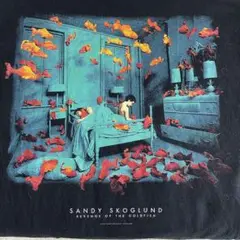 Sandy Skoglund Revenge Of Goldfish TシャツL