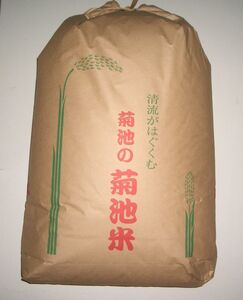 ★熊本県産厳選菊池米★令和6年産玄米ヒノヒカリ★24㎏