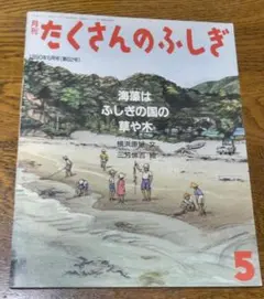 たくさんのふしぎ『海藻は　ふしぎの国の 草や木』