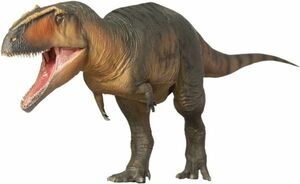 PNSO NEW 1/35 サイズ ギガノトサウルス 大きい 肉食 恐竜 リアル フィギュア PVC プラモデル おもちゃ 模型 プレゼント プレミアム 35cm級
