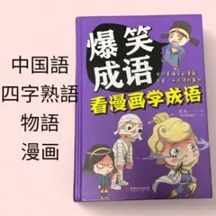 中国語　漫画で学ぶ中国語四字熟語　本　315ページ