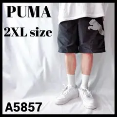 プーマ PUMA ビッグロゴ メンズ ハーフパンツ 黒 ブラック US/XXL