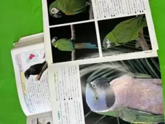 日本の鳥の図鑑関係2冊