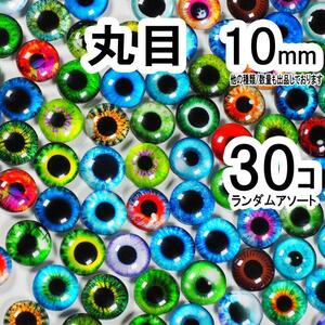 丸目 10mm 30個 グラスアイ 猫 爬虫類 ドラゴン 目玉 カボショ K0Y