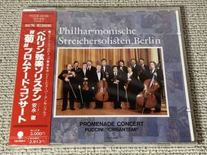 未開封 SEALED ベルリン弦楽ゾリステン プロムナードコンサート 安永徹 Philharmonische Streichersolisten Promenade Concert 見本品