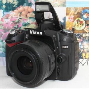 魅惑の単焦点レンズセットカメラバック付きNikon D90