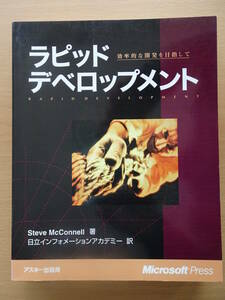 ラピッドデベロップメント　ソフトウェア工学　システム分析　システム開発　効率的開発　プロトタイピング　220227ya