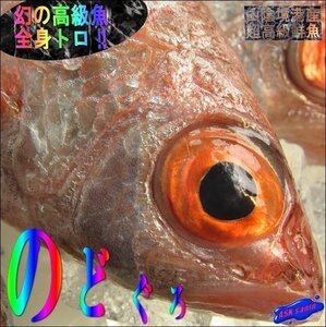 幻の超高級魚「 のどぐろ 7尾位で1kg」お刺身用・脂のってます！！　山陰境港産