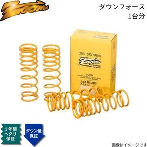 ダウンサス エテルナ E39A ズーム ダウンフォース ミツビシ S63/10～H4/05 4G63 4WD 2.0L 1台分 ZMI014005SDF