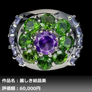 【送料無料】4.50ct 天然アメジスト&タンザナイト&クロムディオプサイト K14WG仕上リング 16号｜作家モノ｜本物保証｜日宝協鑑別対応