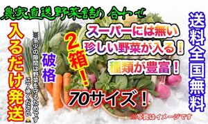 おまかせ冬野菜詰め合わせ約70サイズ入るだけ2箱発送！破格！期間限定値下げ！