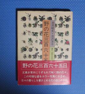 ★野の花三百六十五日★池沢昭夫＋池沢洋子★文化出版局★定価1650円★