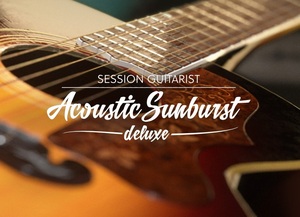 ★Native Instruments製　Acoustic Sunburst Deluxe★アコギ音源★ライセンス譲渡