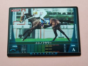 ニシノフラワー A HORSERIDERS KONAMI