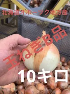 玉ねぎB品10キロ